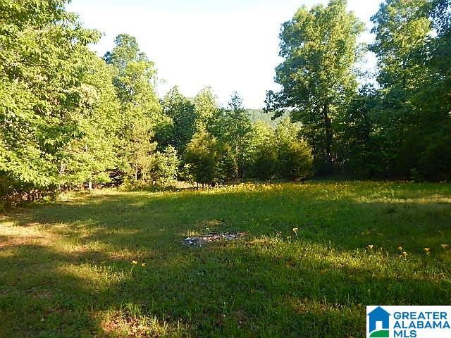 Sunhill Lane, Unit 14 Oneonta, AL 35121 - Photo 24 of 27