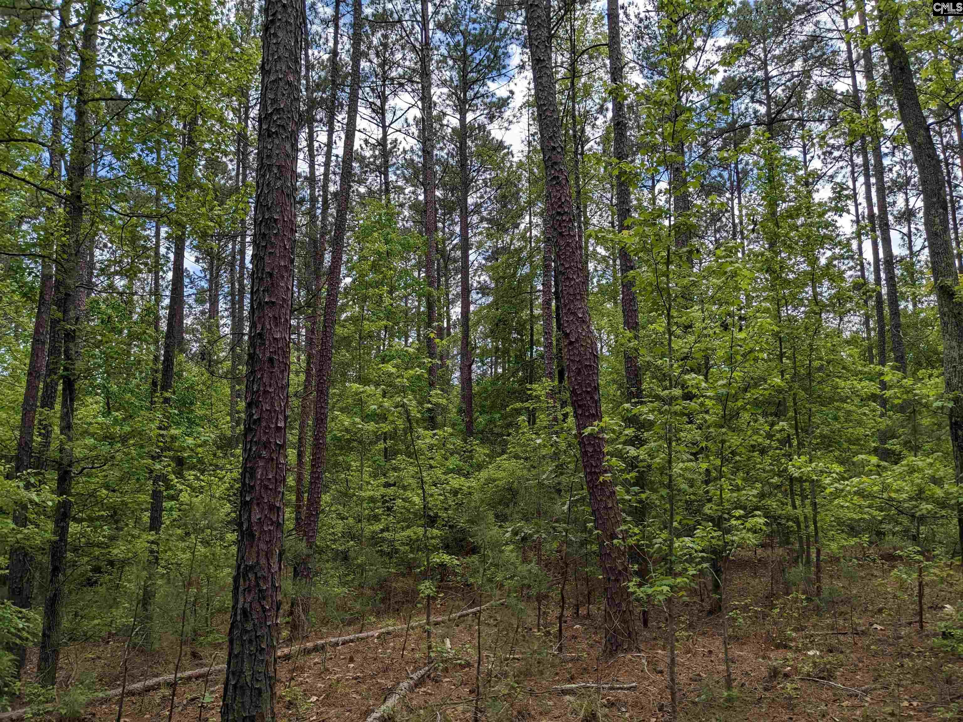 Syrup Mill Road Ridgeway, SC 29130 - Photo 21 of 33