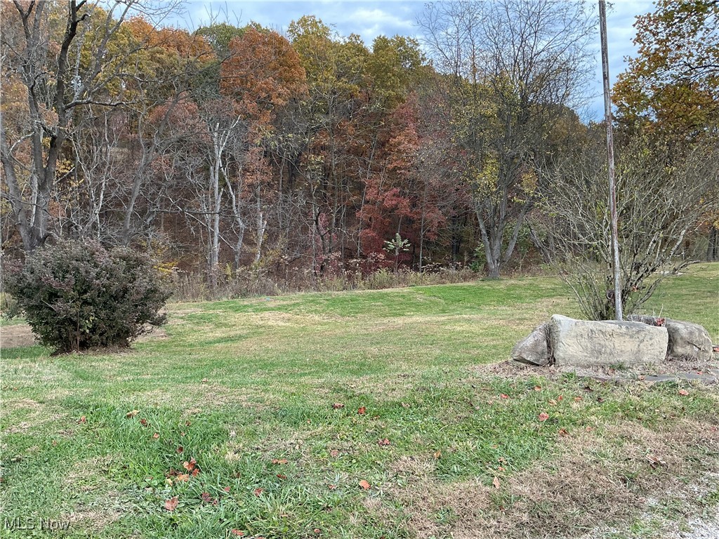 10550 Symmes Creek Road Adamsville, OH 43802 - Photo 7 of 21 View of grassy yard