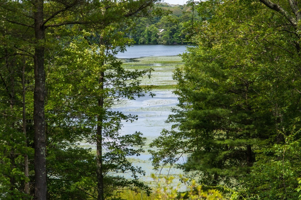 60 Desert Brook Road Wrentham, MA 02093 - Photo 27 of 30 Gallery Image 27
