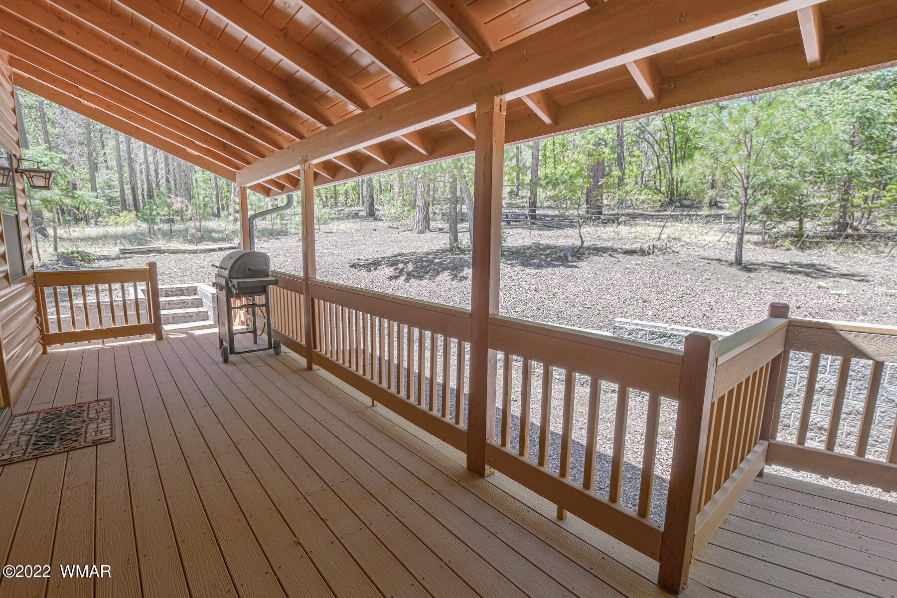 9 County Road Alpine, AZ 85920 - Photo 11 of 47