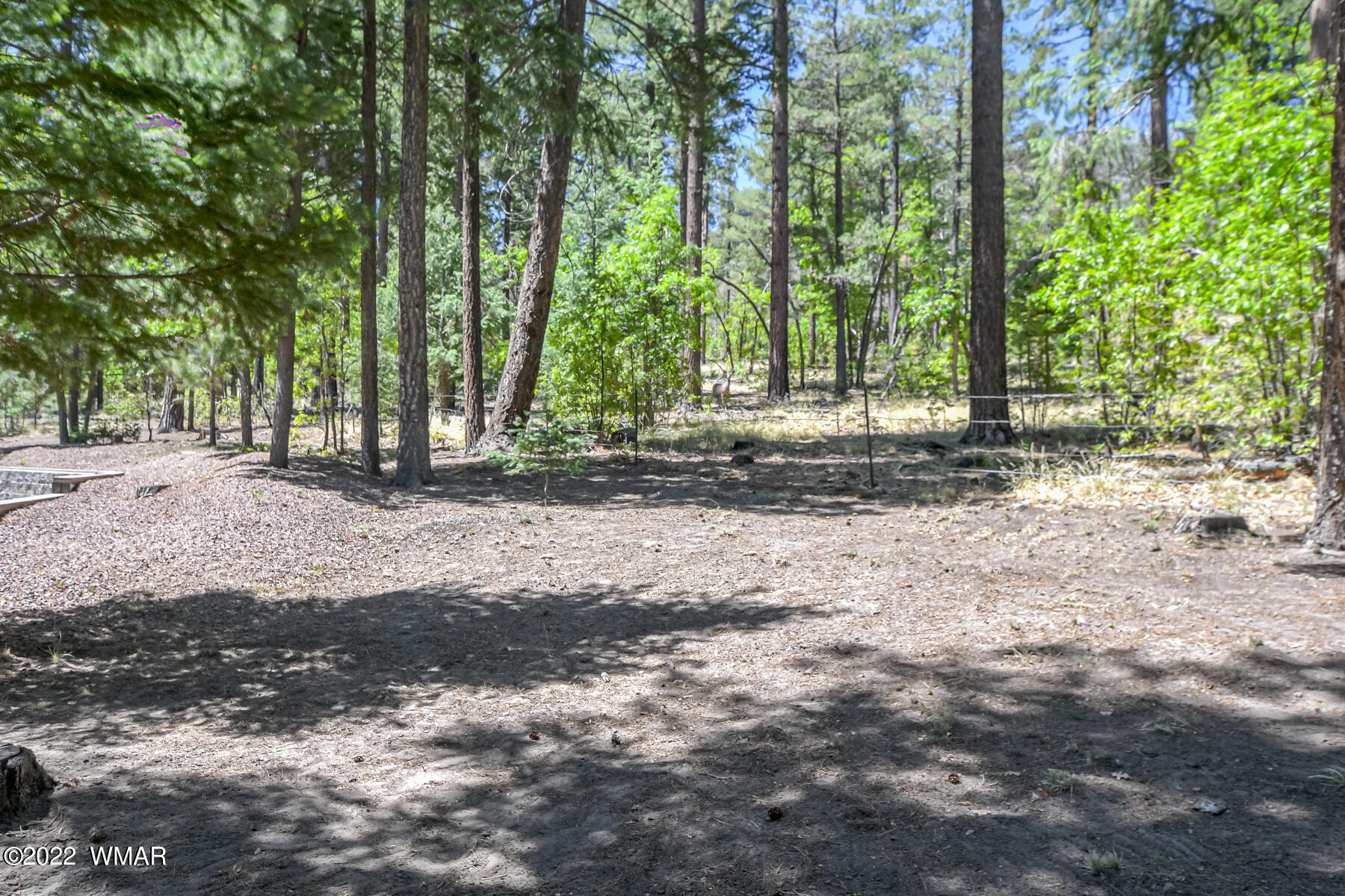 9 County Road Alpine, AZ 85920 - Photo 12 of 47