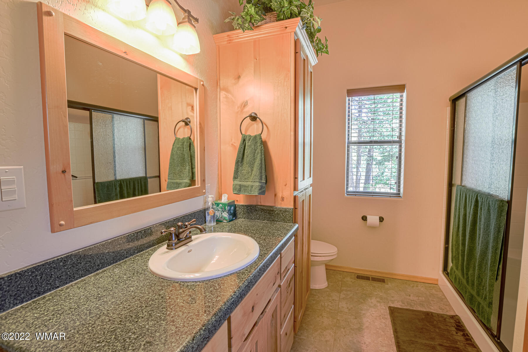 9 County Road Alpine, AZ 85920 - Photo 27 of 47