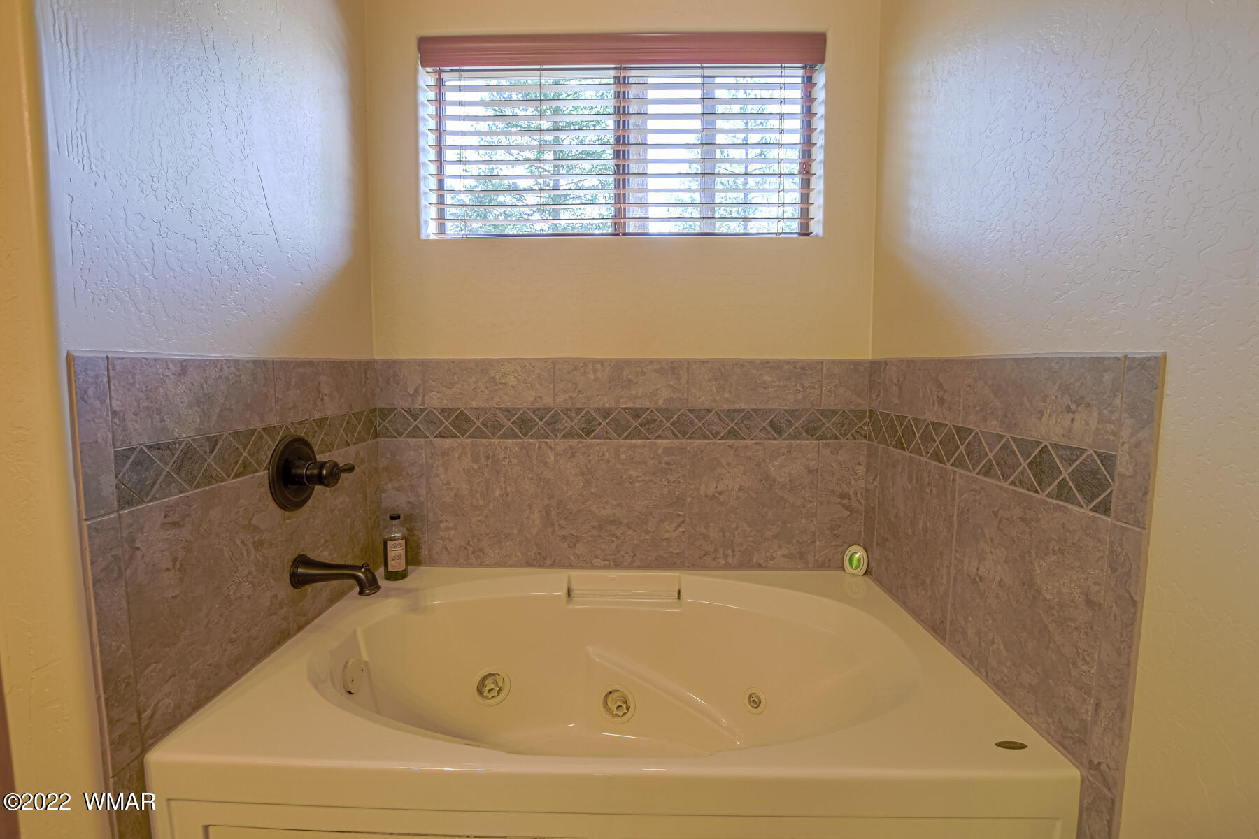 9 County Road Alpine, AZ 85920 - Photo 28 of 47