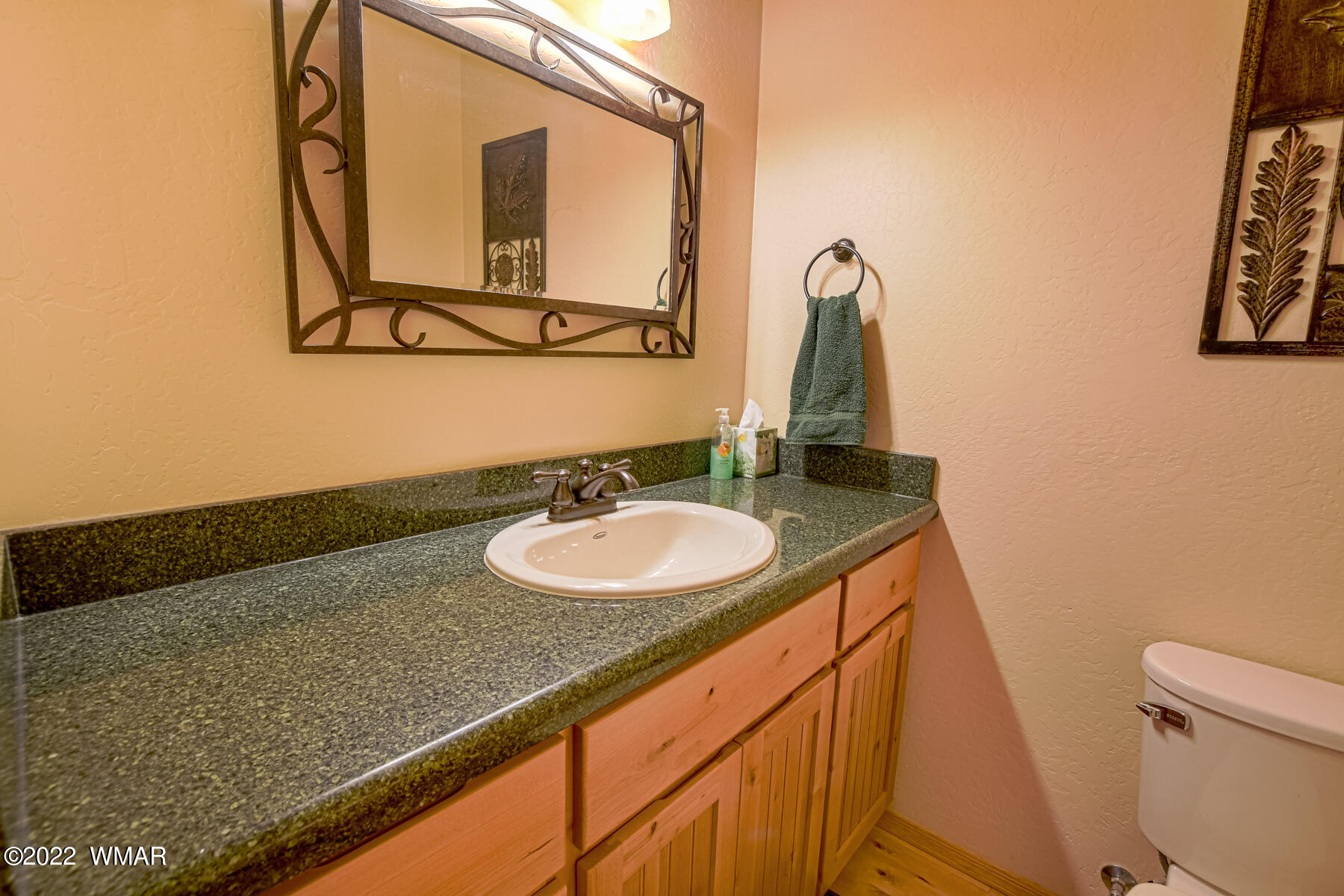 9 County Road Alpine, AZ 85920 - Photo 33 of 47