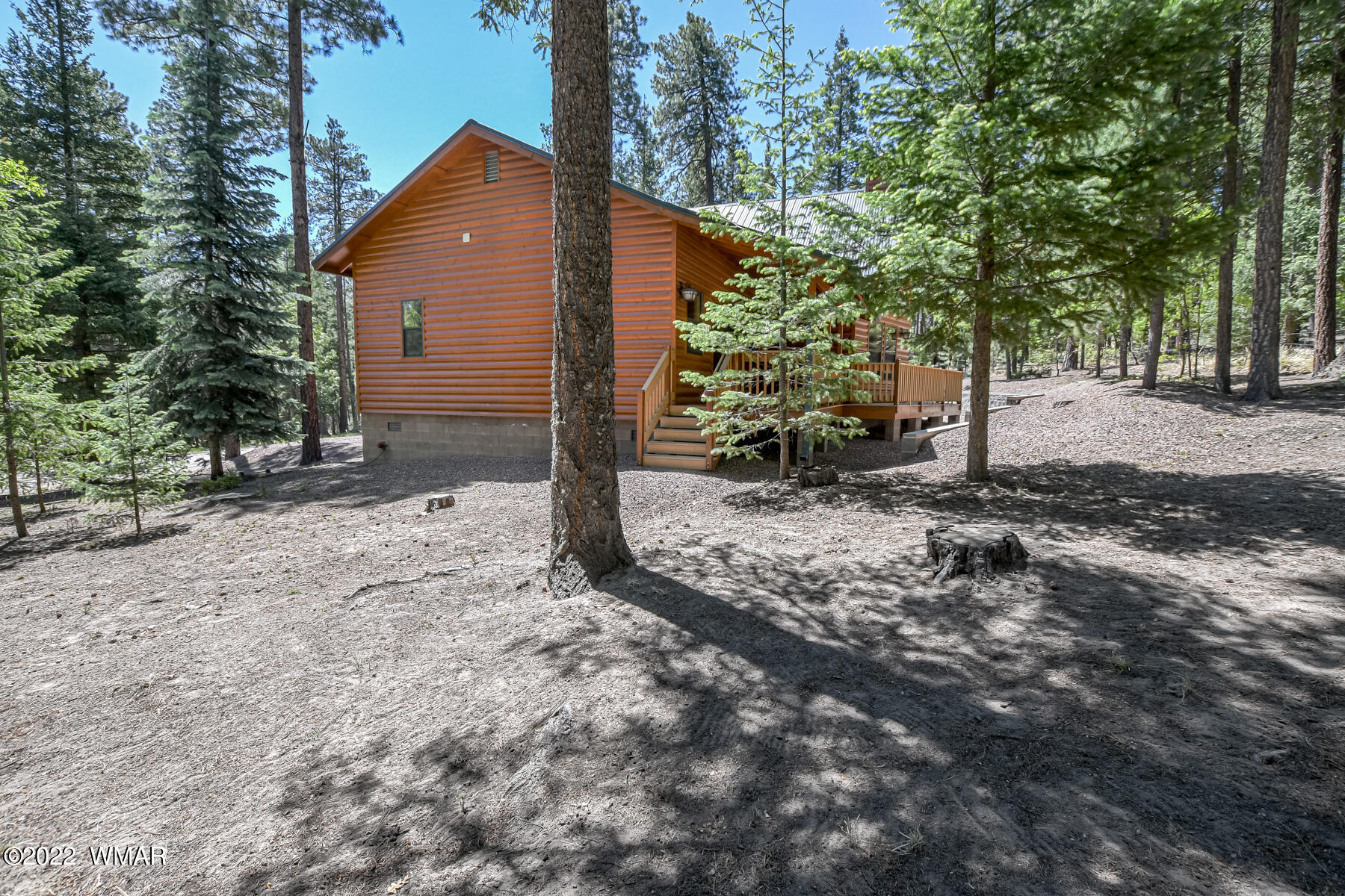 9 County Road Alpine, AZ 85920 - Photo 6 of 47