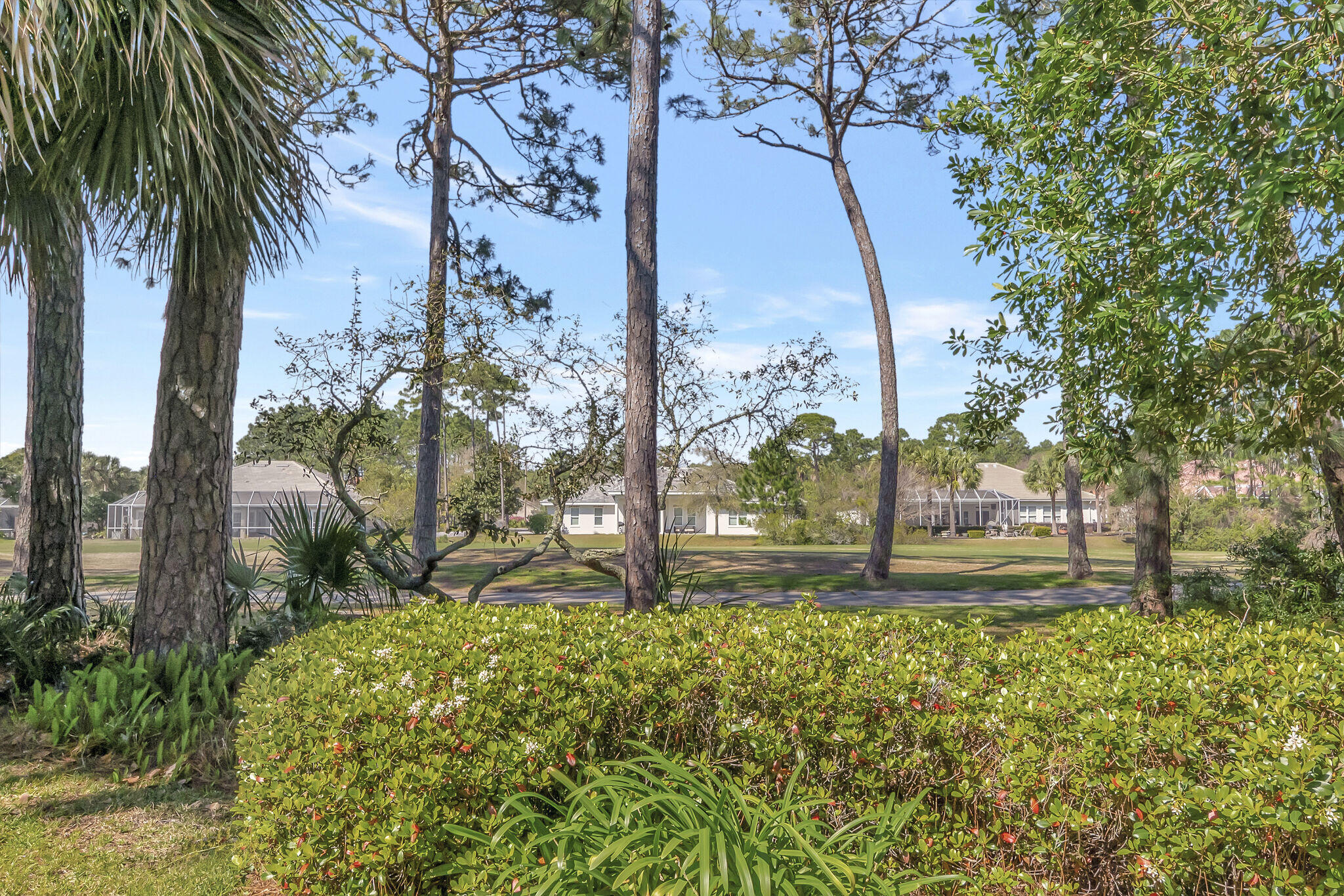 291 Indigo Loop Miramar Beach, FL 32550 - Photo 33 of 44 View of backyard & fifth fairway!