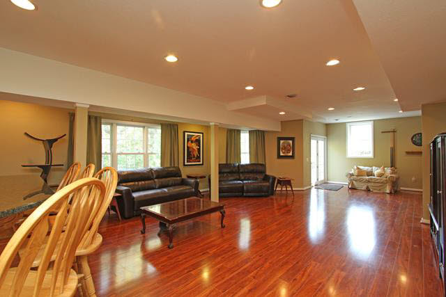 6500 Douglas Road Lambertville, MI 48144 - Photo 14 of 20 Lower Level Fam Room