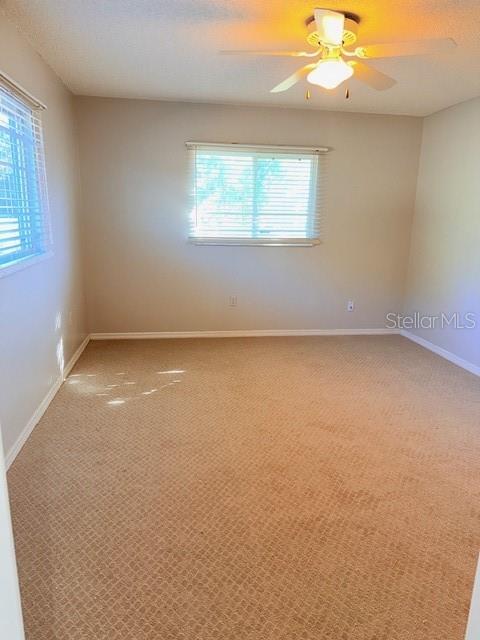 10740 Southwest 62nd Avenue Road Ocala, FL 34476 - Photo 12 of 19 an empty room with windows and chandelier fan