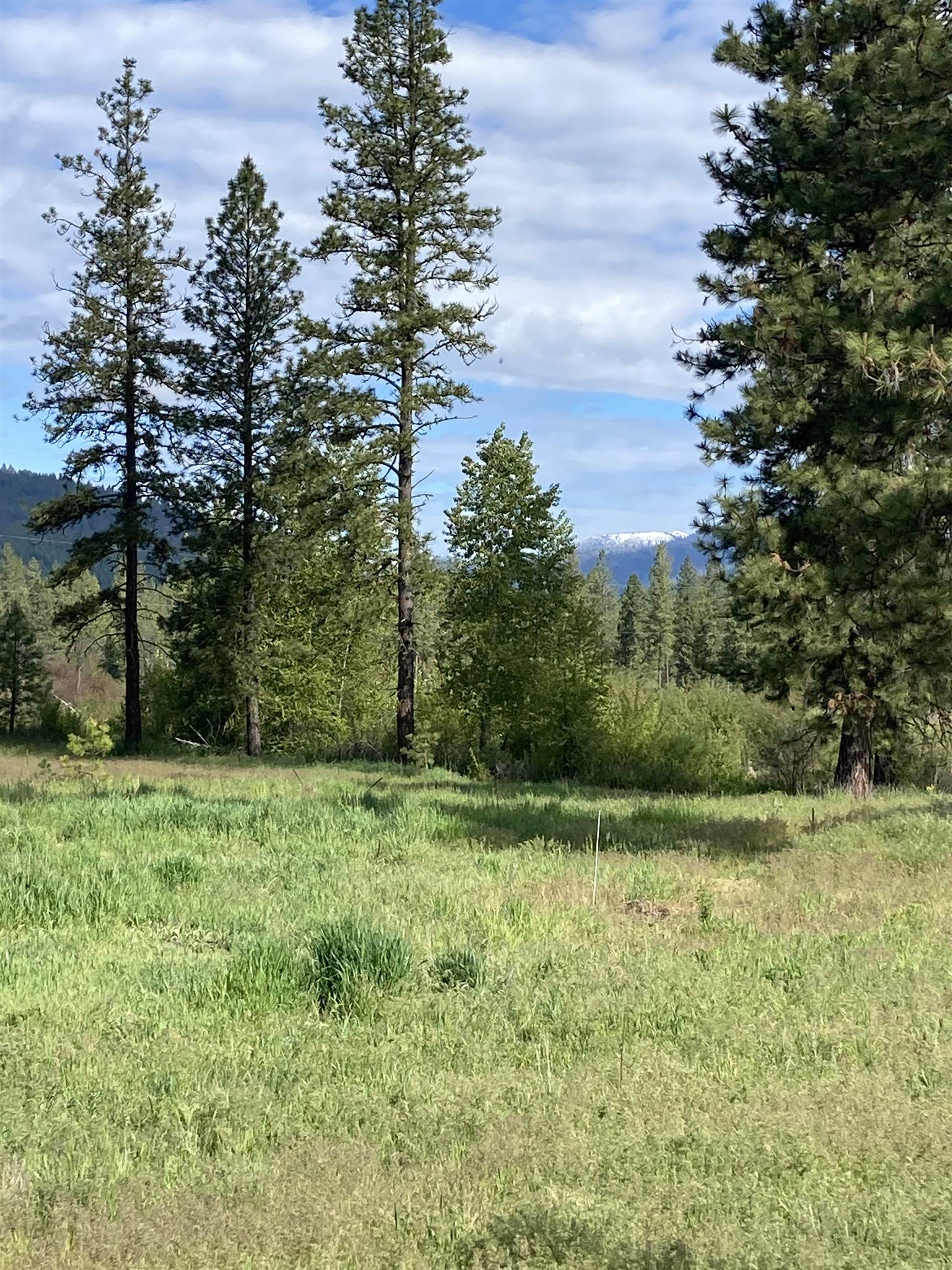 423 Seyler Valley Road Inchelium, WA 99138 - Photo 6 of 43