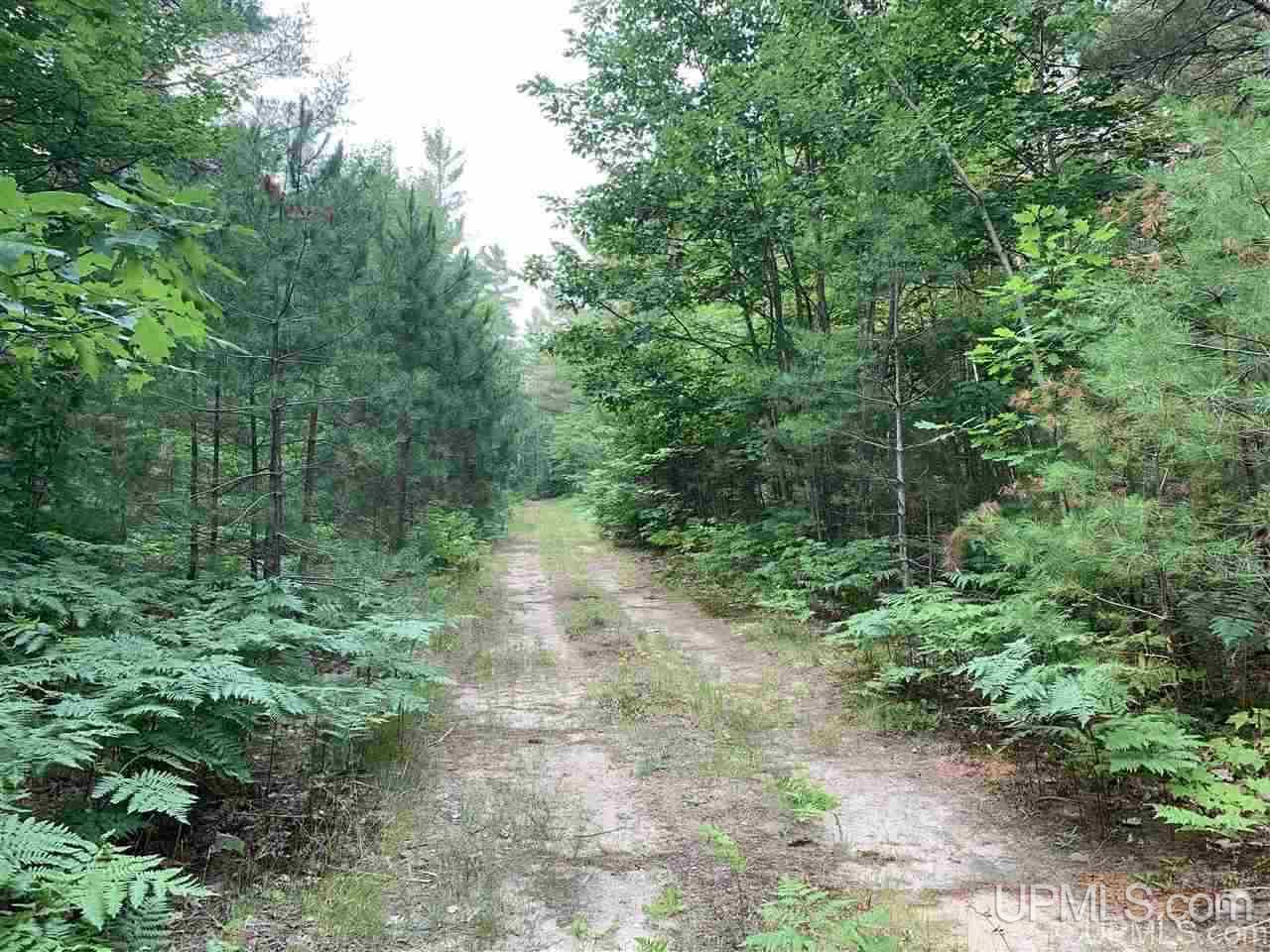 Lot 8 Powell Lake Road Wetmore, MI 49895 - Photo 4 of 6 Gallery Image 4