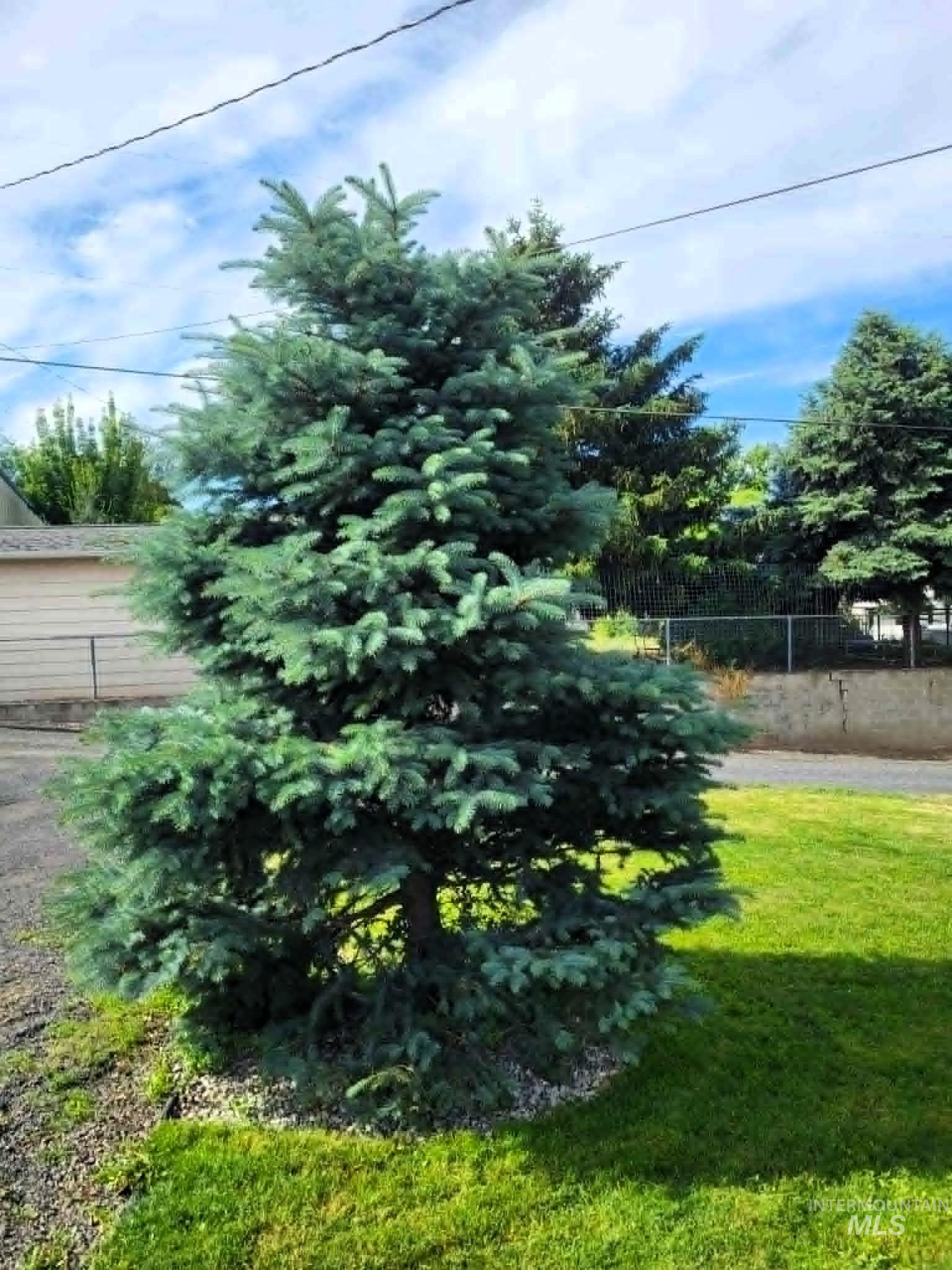 1212 16th Avenue Lewiston, ID 83501 - Photo 15 of 44