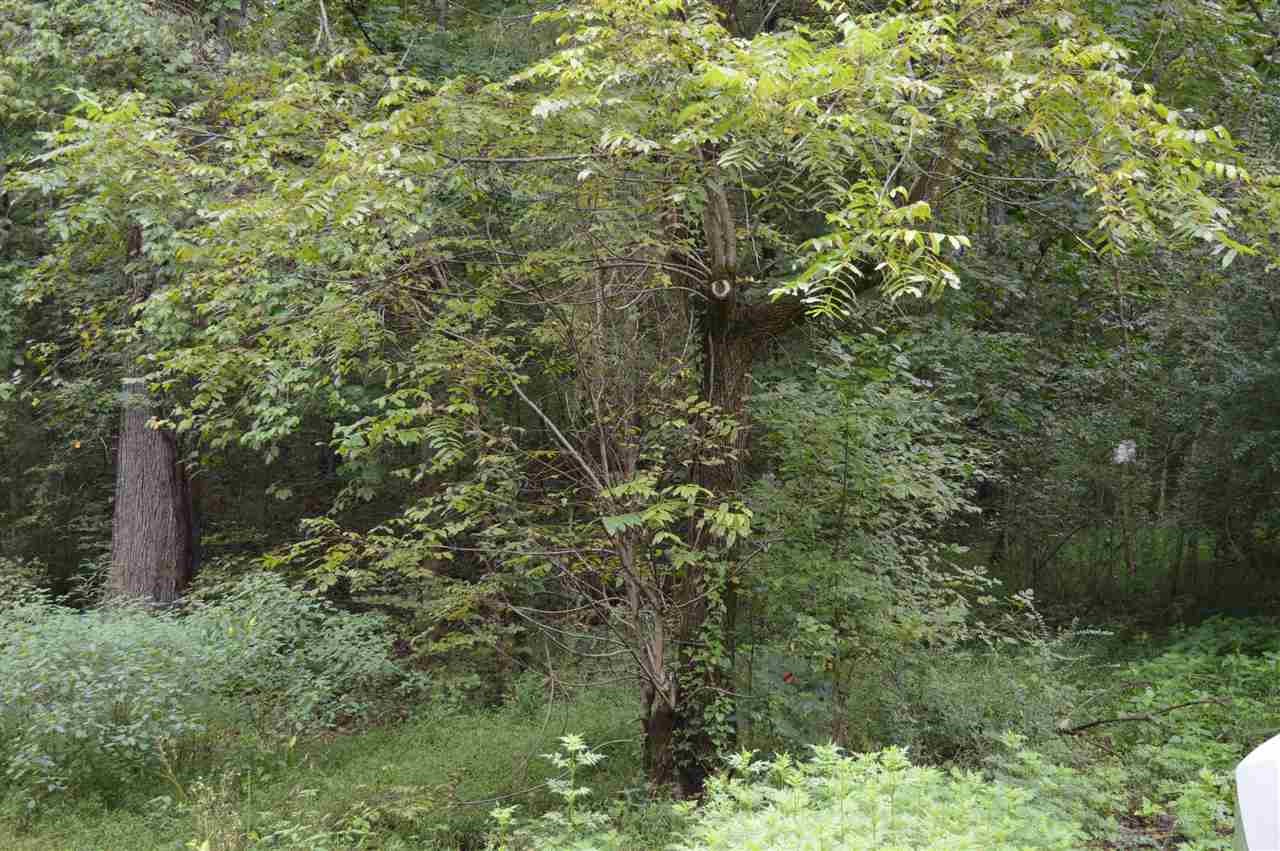 0 Lower River Road Northwest Charleston, TN 37310 - Photo 1 of 1