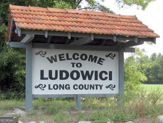 293 Cutter Gap Southeast Ludowici, GA 31316 - Photo 31 of 31