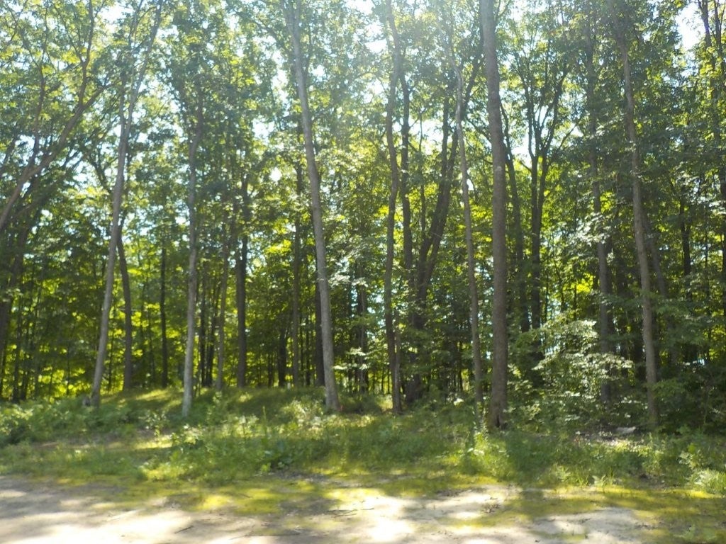 3307 30th Street Frederic, WI 54837 - Photo 4 of 24