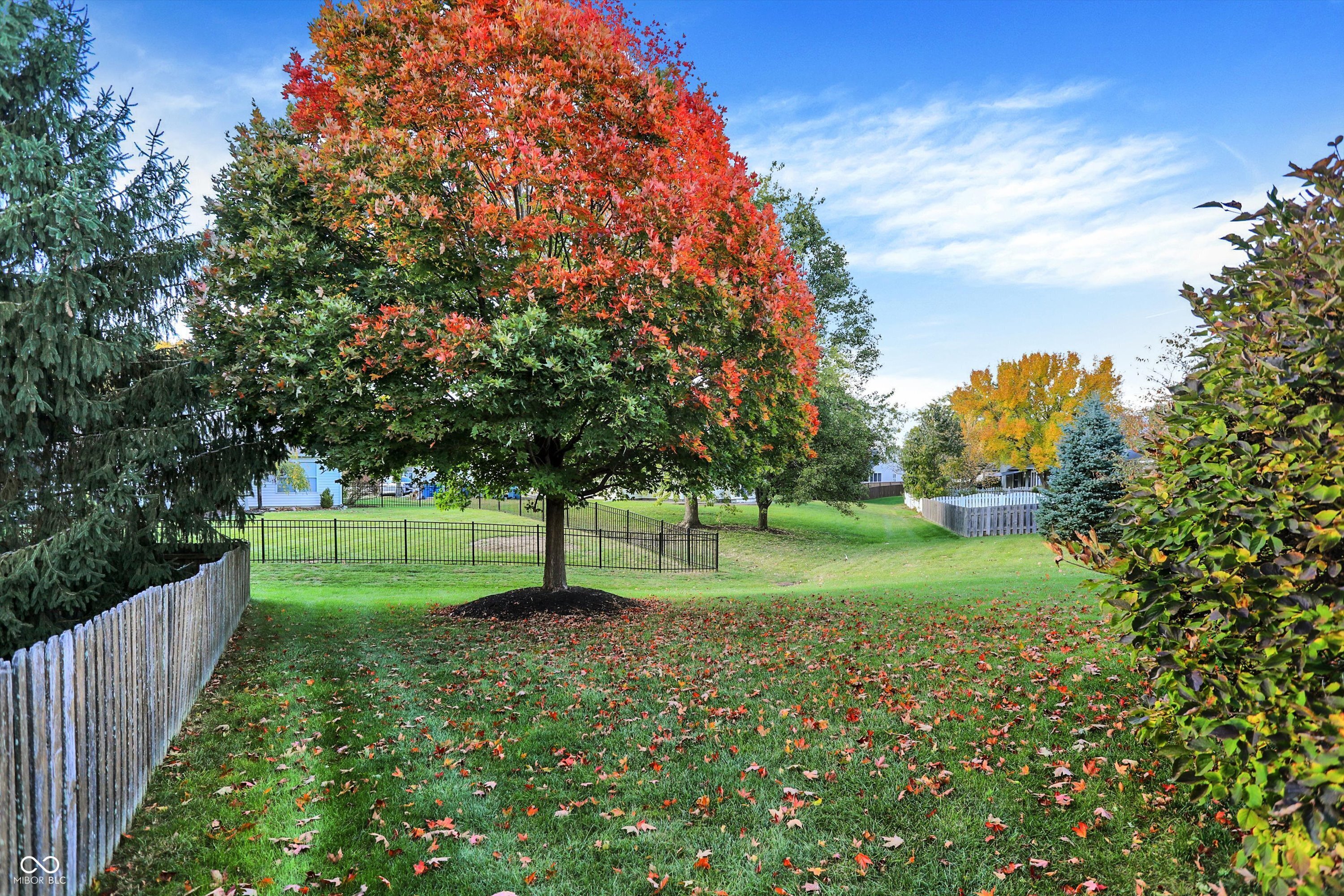 10737 Springston Court Fishers, IN 46037 - Photo 39 of 41