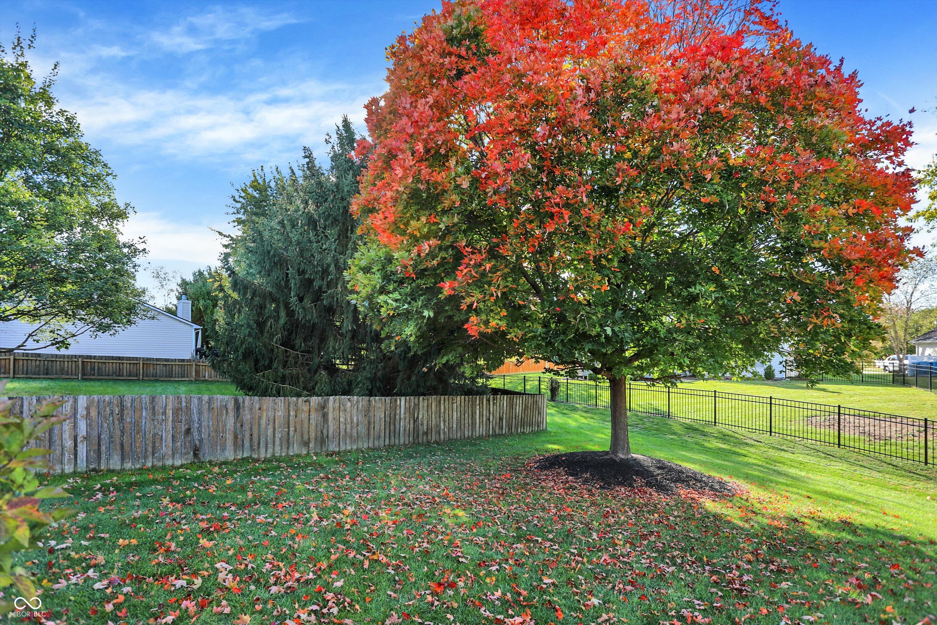 10737 Springston Court Fishers, IN 46037 - Photo 40 of 41