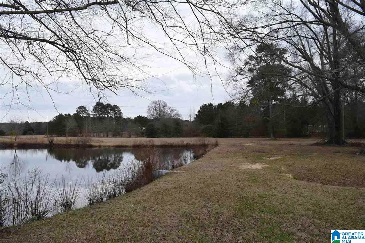 11218 Vance Blocton Road Vance, AL 35490 - Photo 9 of 37