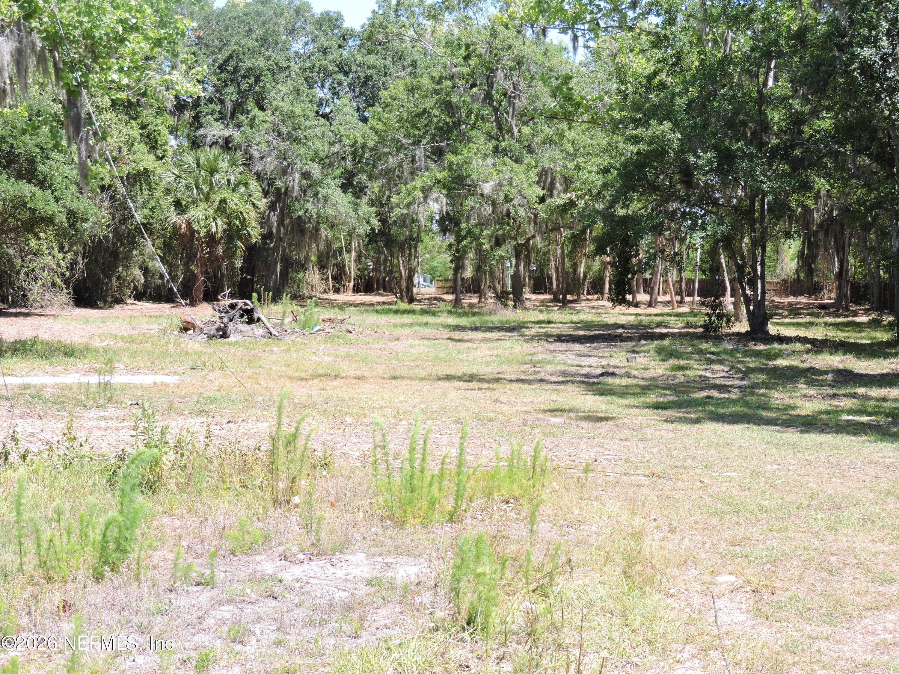 3713 Cedar Point Road Jacksonville, FL 32226 - Photo 1 of 24 a view of a yard with a trees
