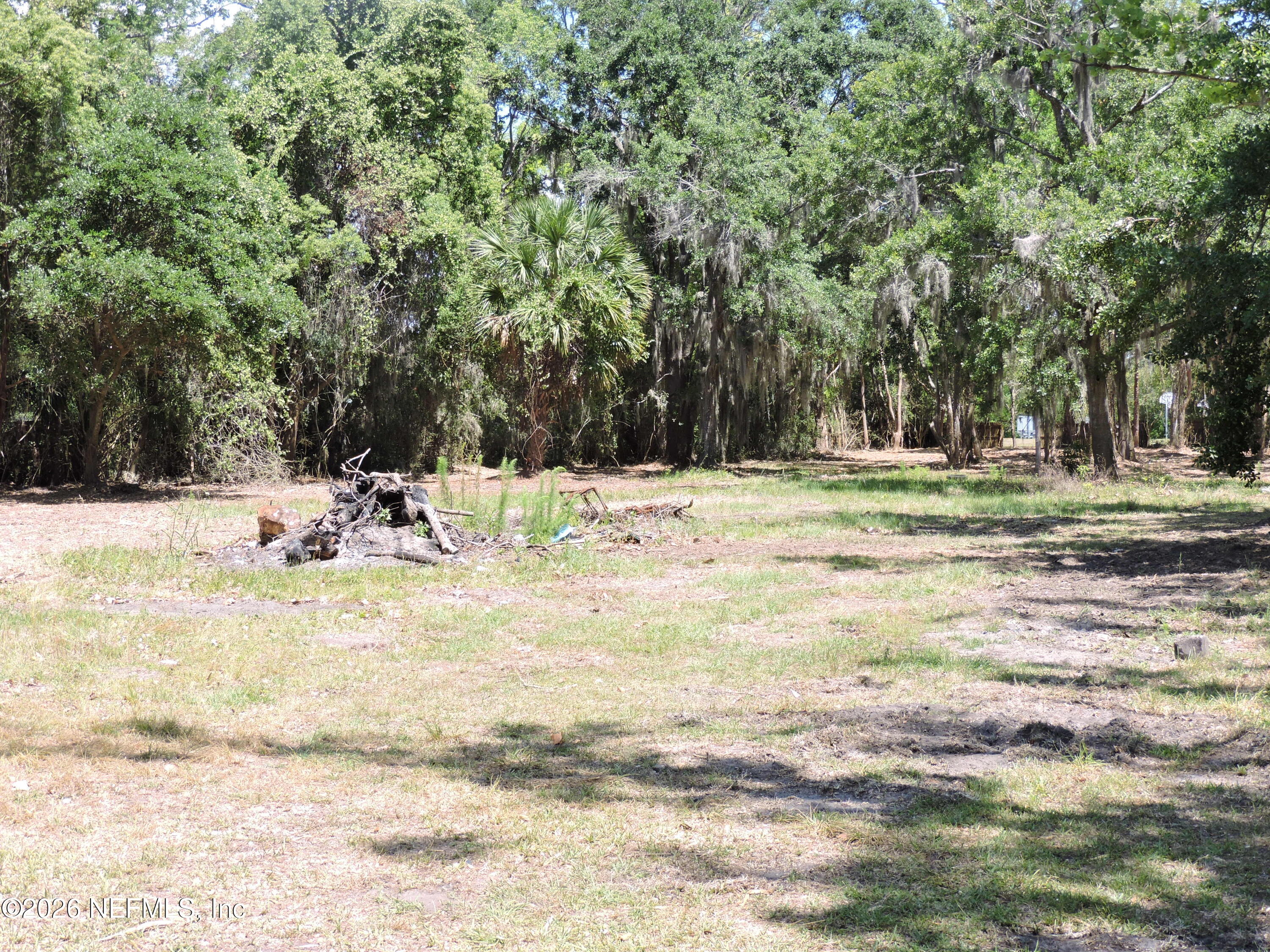 3713 Cedar Point Road Jacksonville, FL 32226 - Photo 14 of 24 a view of a yard with a trees