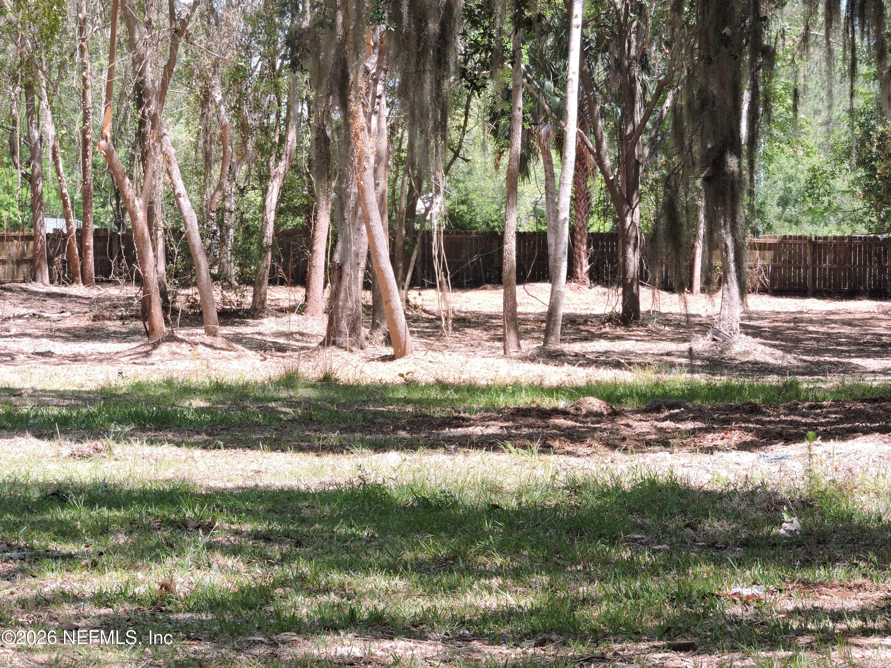 3713 Cedar Point Road Jacksonville, FL 32226 - Photo 15 of 24 a backyard of a house with lots of green space