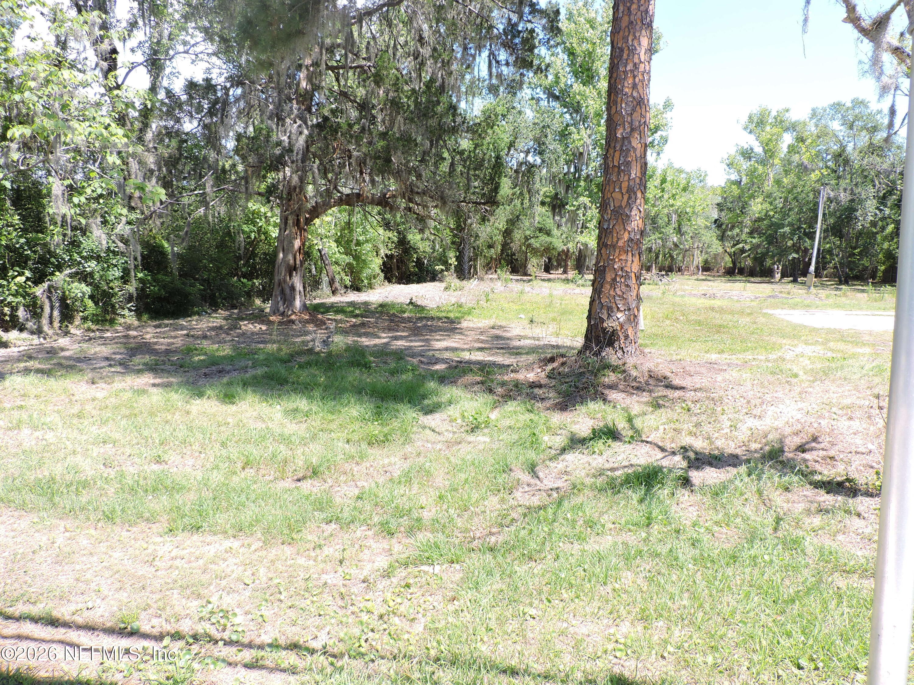 3713 Cedar Point Road Jacksonville, FL 32226 - Photo 19 of 24 a view of a yard with a tree