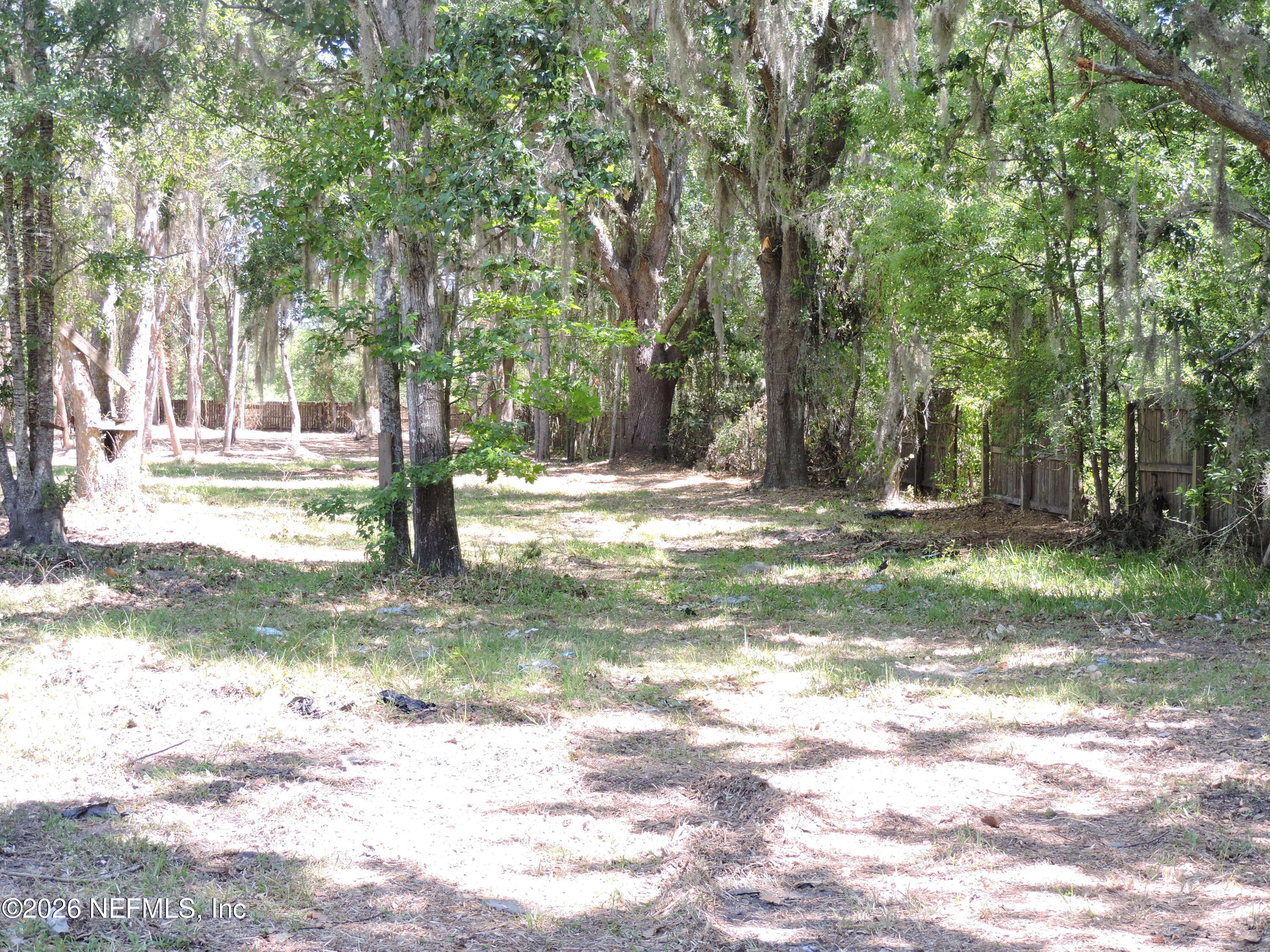 3713 Cedar Point Road Jacksonville, FL 32226 - Photo 2 of 24 a view of a yard with trees