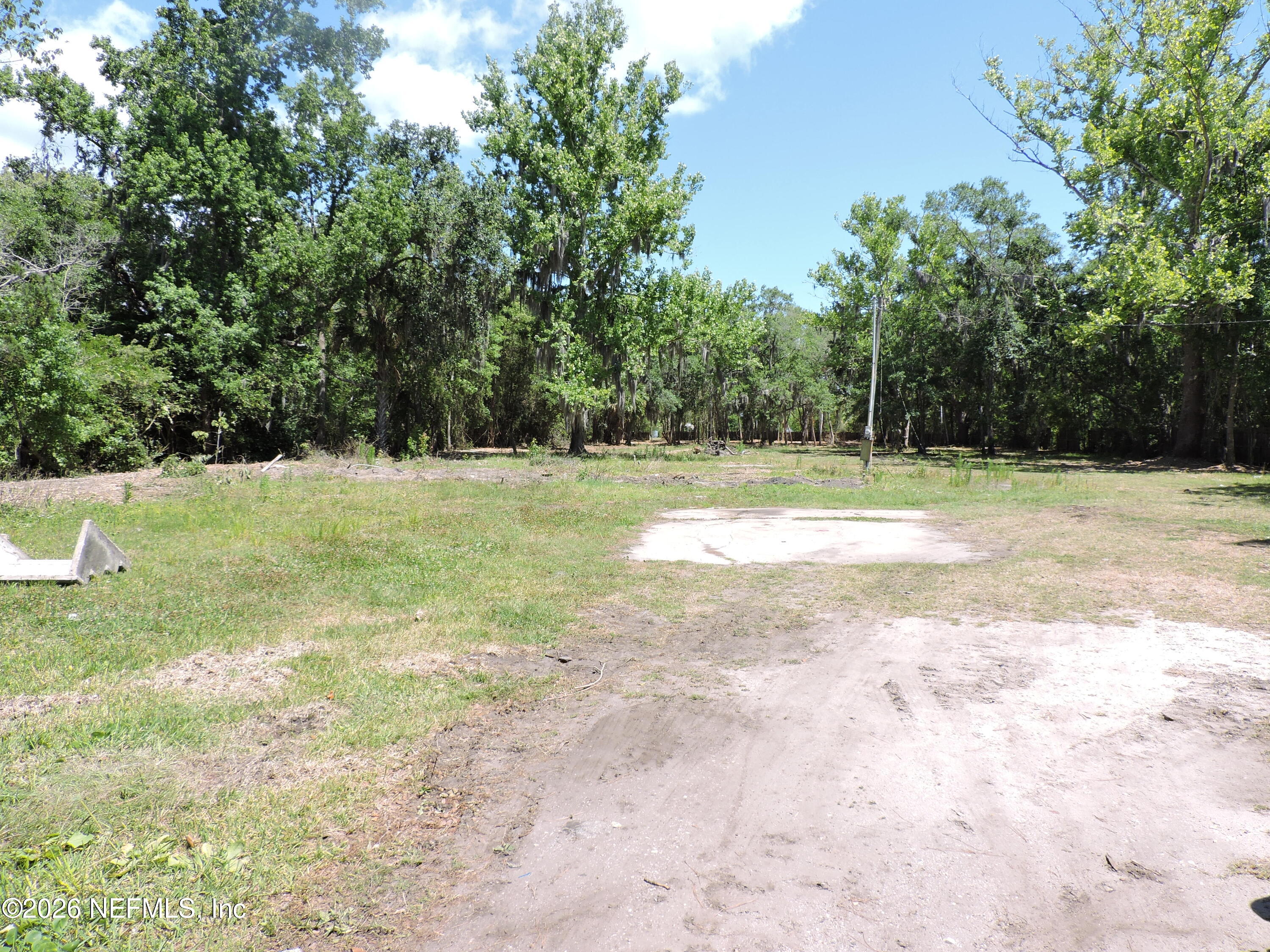 3713 Cedar Point Road Jacksonville, FL 32226 - Photo 4 of 24 a view of a yard with a tree