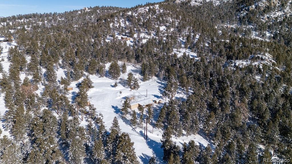 8939 South Hillview Road Morrison, CO 80465 - Photo 12 of 17 a view of a tree