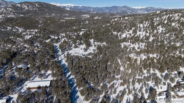 a view of a tree in a field