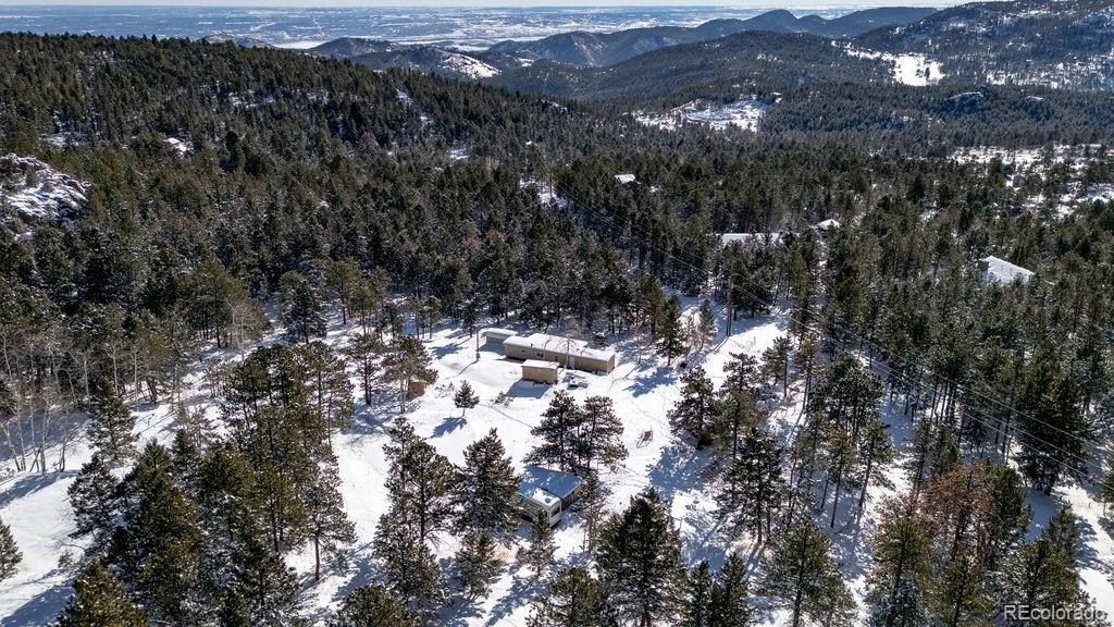 8939 South Hillview Road Morrison, CO 80465 - Photo 15 of 17 a view of a tree
