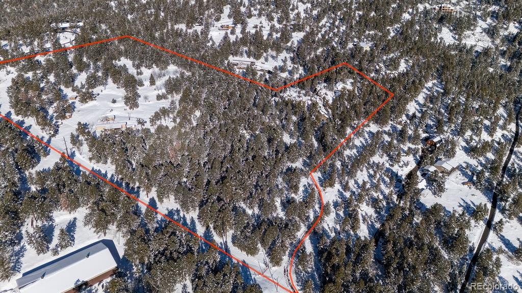 8939 South Hillview Road Morrison, CO 80465 - Photo 4 of 17 a picture of tree