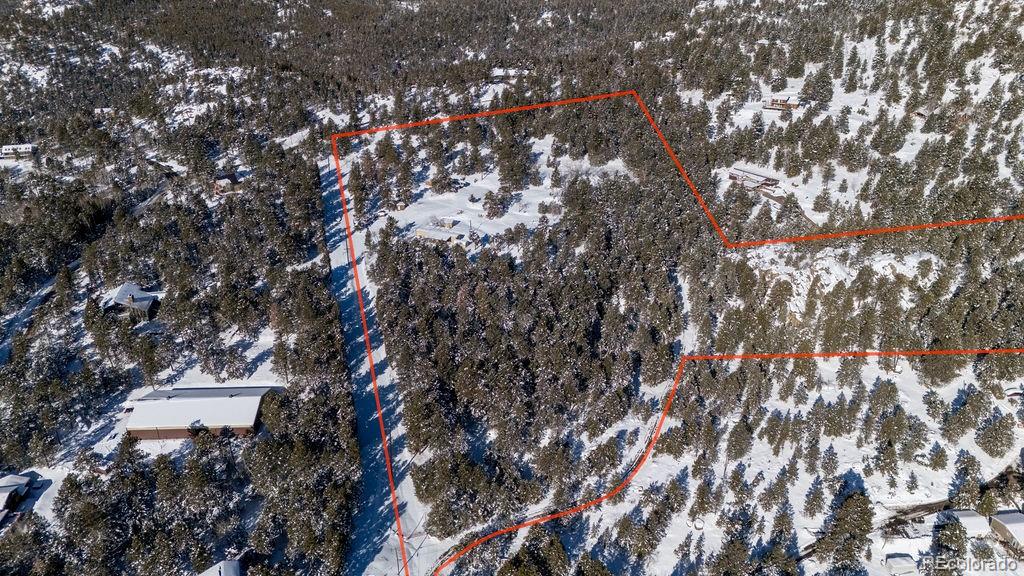 8939 South Hillview Road Morrison, CO 80465 - Photo 5 of 17 a picture of tree