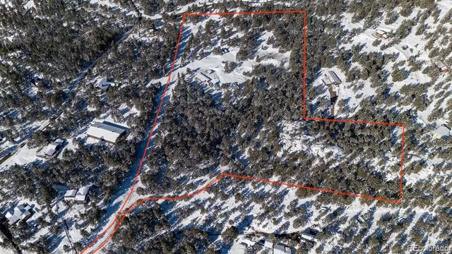 a view of a tree in a park