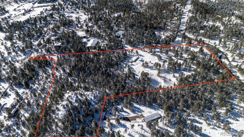 8939 South Hillview Road Morrison, CO 80465 - Photo 7 of 17 a view of a tree in a park