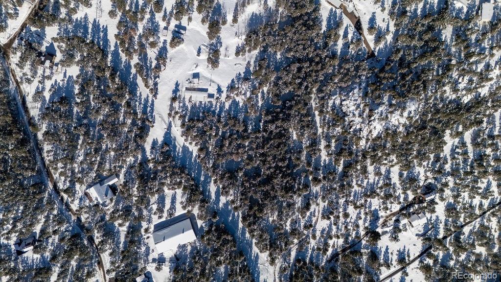 8939 South Hillview Road Morrison, CO 80465 - Photo 9 of 17 a view of a tree