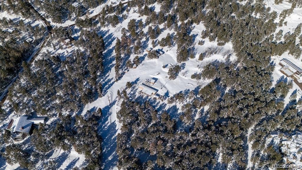 8939 South Hillview Road Morrison, CO 80465 - Photo 10 of 17 a view of a tree in front of a house