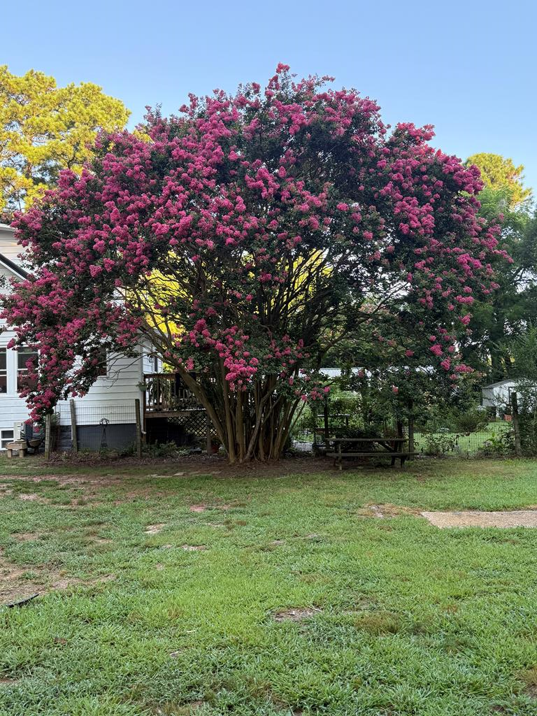 28165 Nelsonia Road Bloxom, VA 23308 - Photo 3 of 15