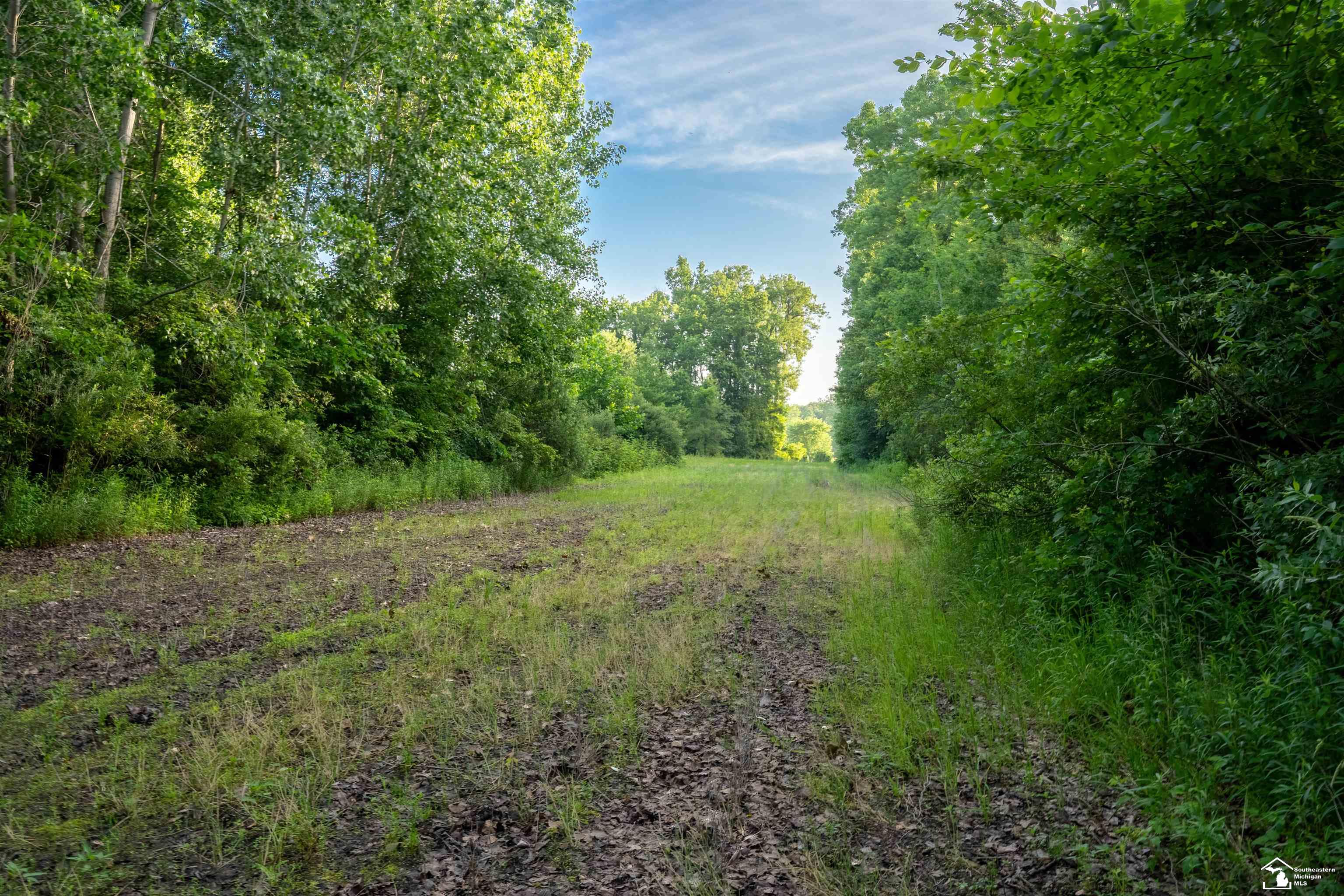 Parcel D Timbers Road Carleton, MI 48117 - Photo 10 of 20