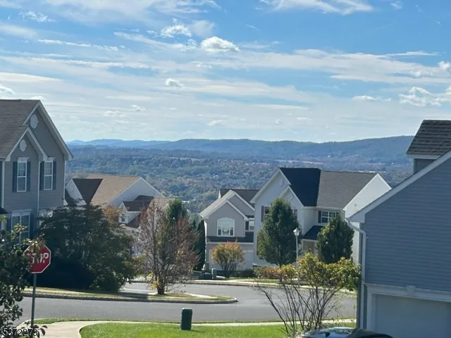 an aerial view of a house with a yard and potted plants