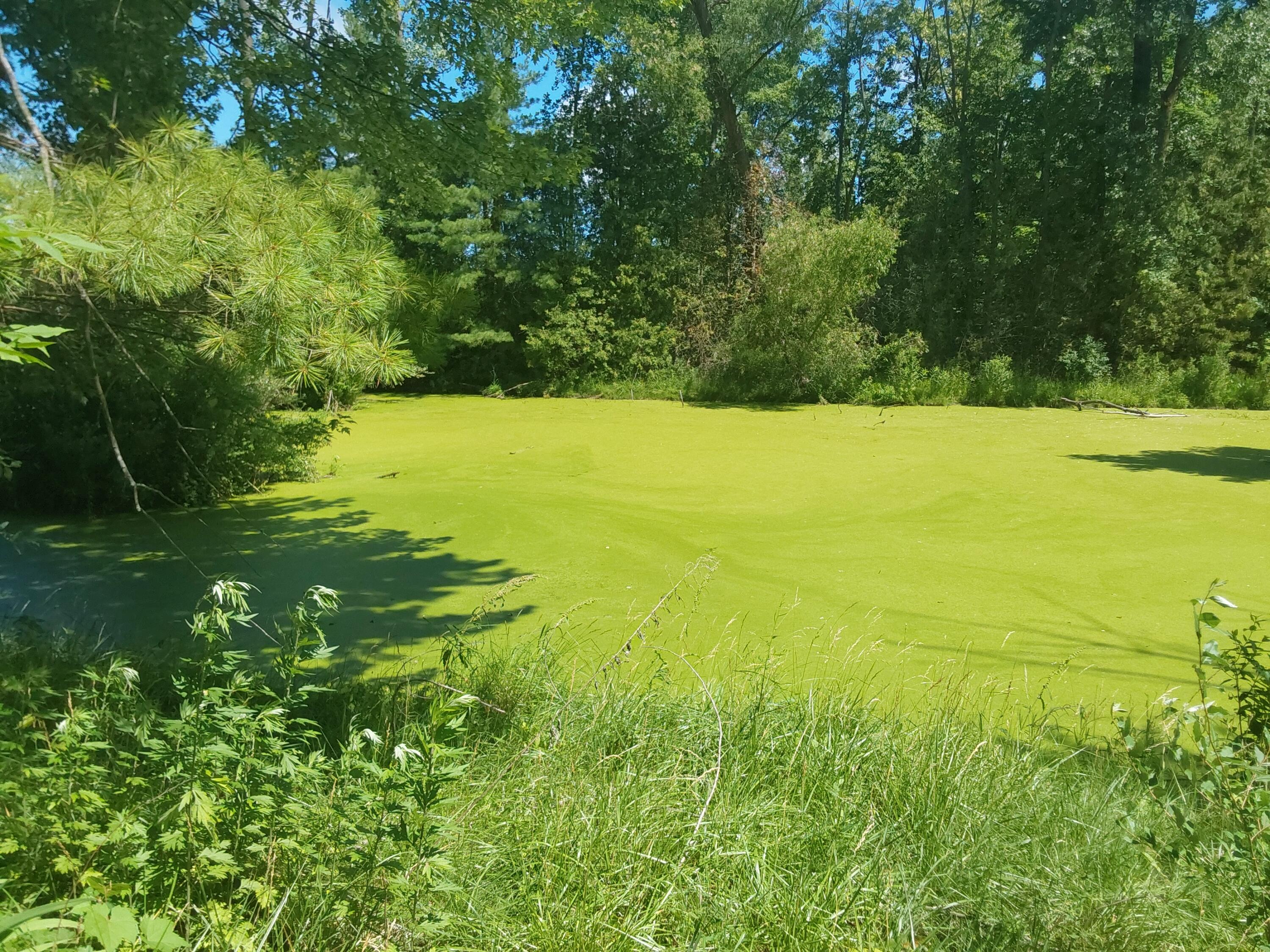 509 East Burdick Road Chesterton, IN 46304 - Photo 22 of 22 3000x2250