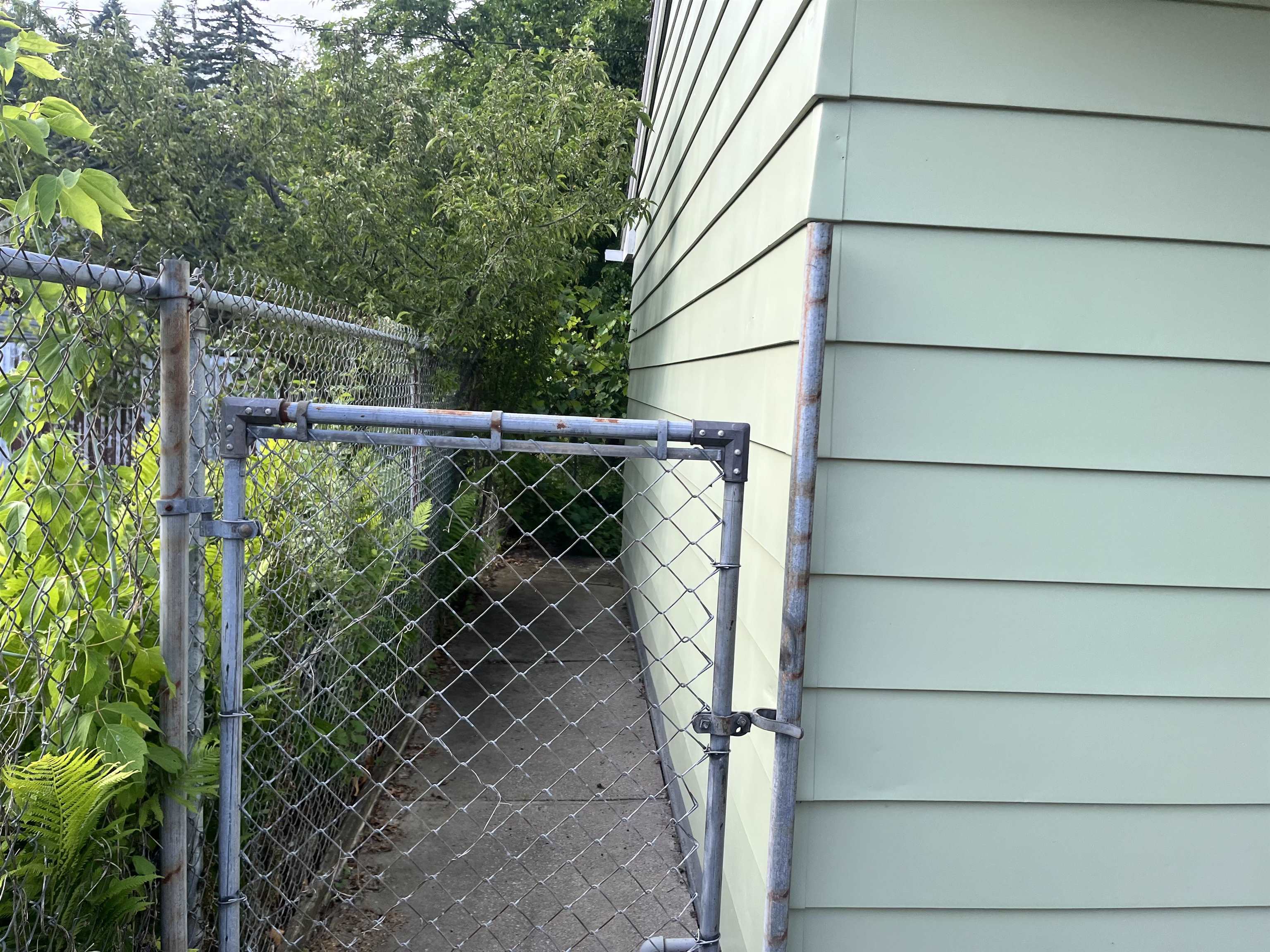 Gallery Image 6