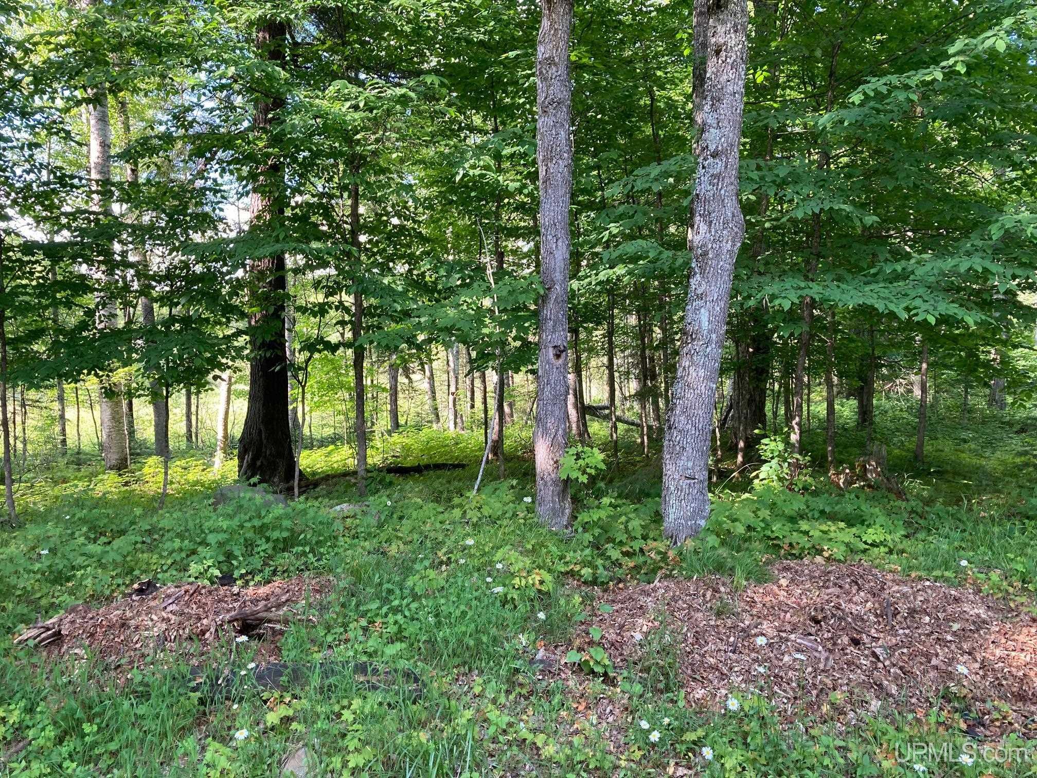 5125 Black Lake Road Mercer, WI 54547 - Photo 56 of 57