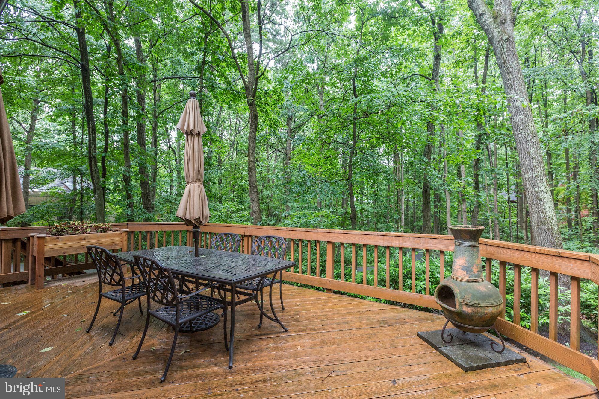 11583 Lake Newport Road Reston, VA 20194 - Photo 37 of 41