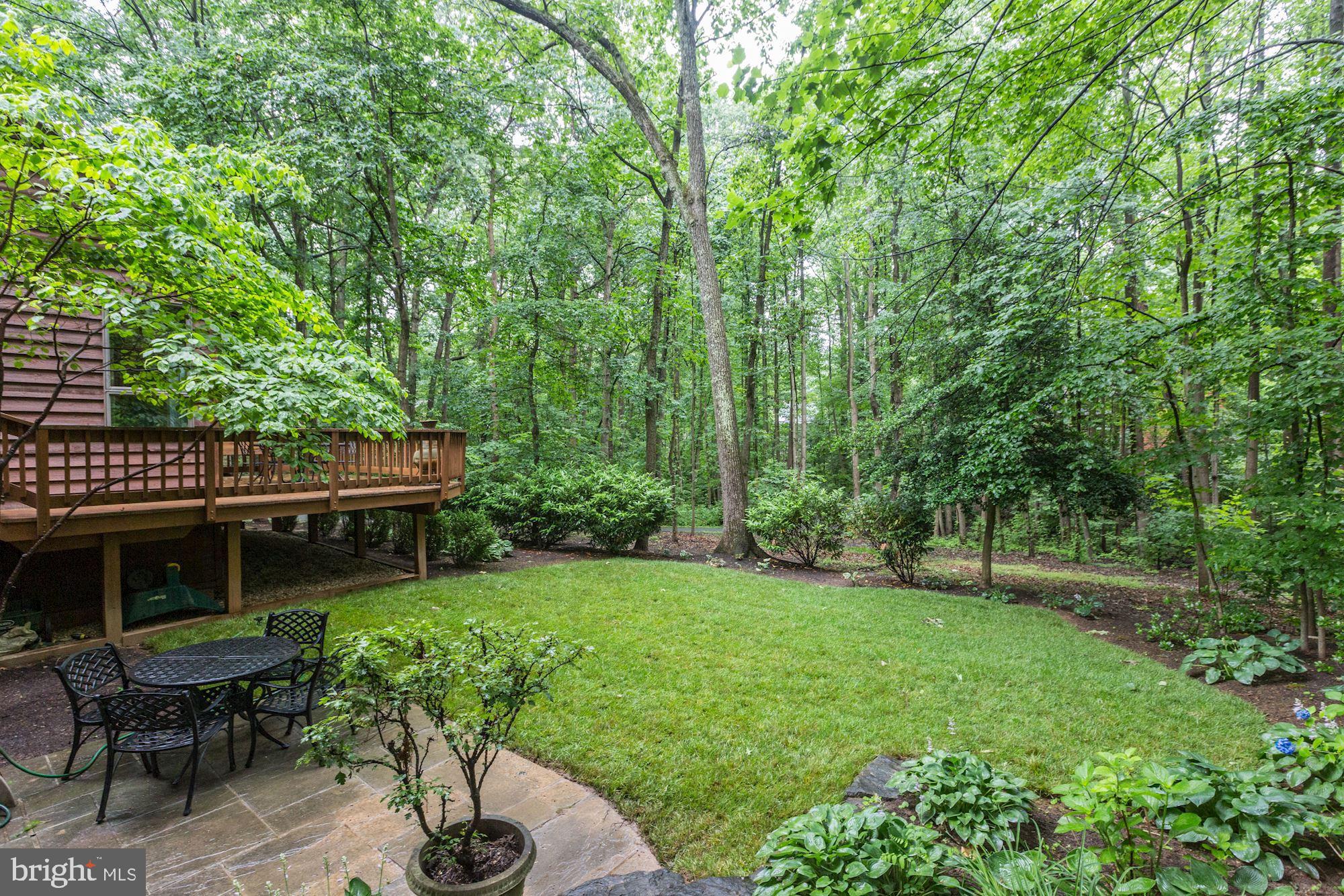 11583 Lake Newport Road Reston, VA 20194 - Photo 40 of 41 Beautifully landscaped lawn