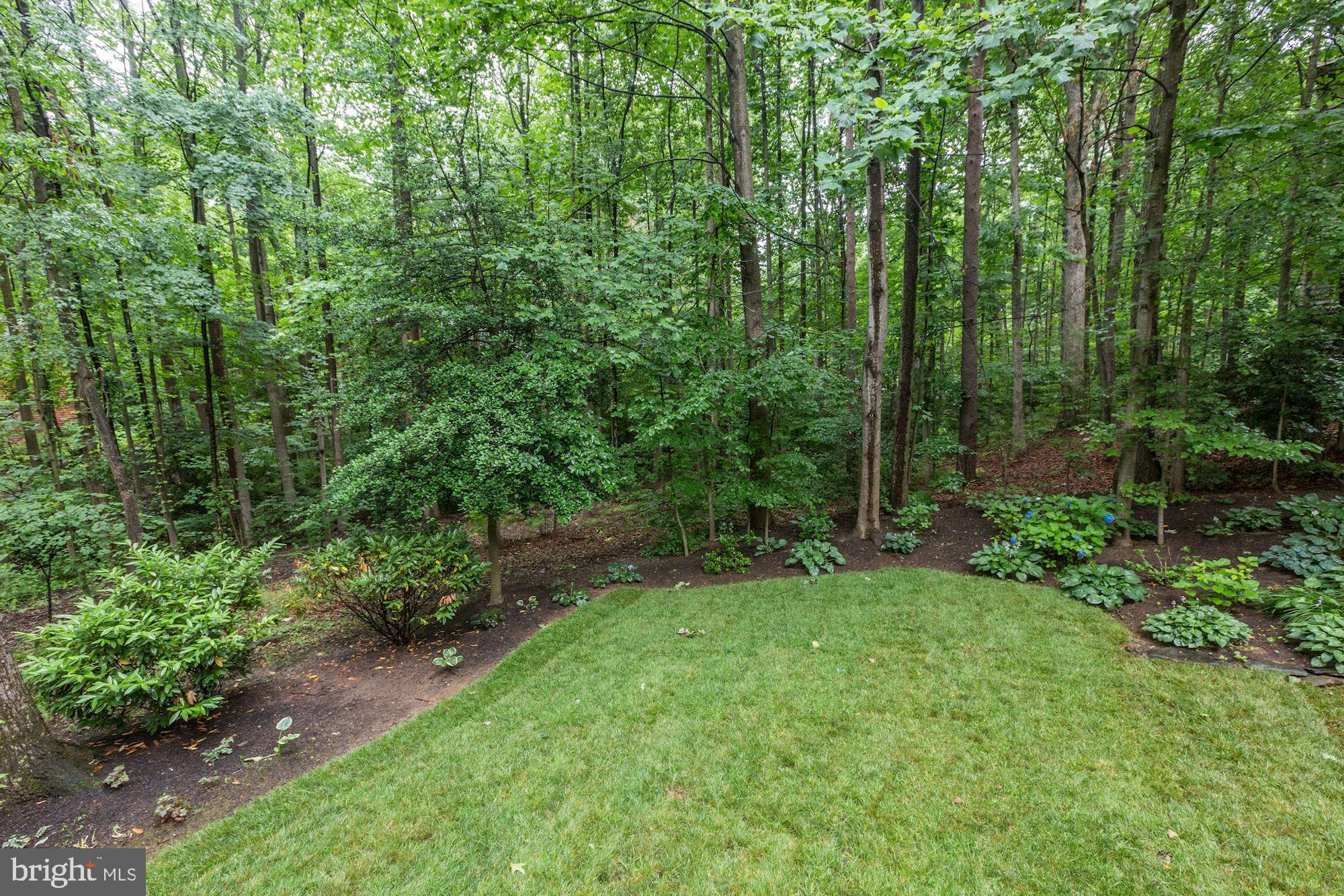 11583 Lake Newport Road Reston, VA 20194 - Photo 41 of 41