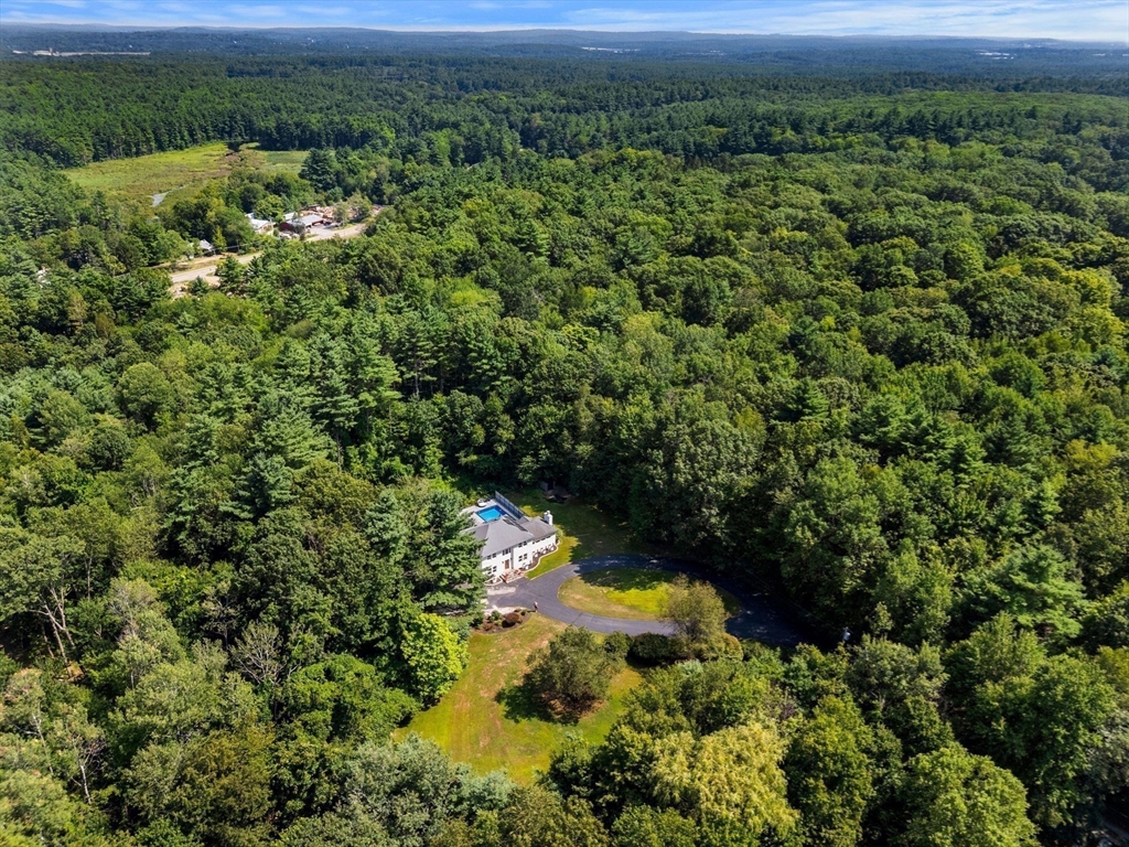 49 Parker Road Shirley, MA 01464 - Photo 42 of 42 a view of a lush green forest with lots of trees