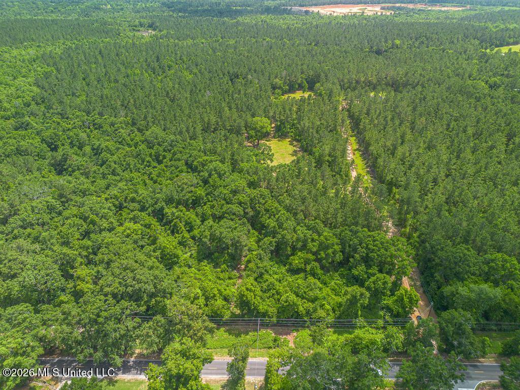 Blackwell Farm Road Saucier, MS 39574 - Photo 6 of 12 29-11