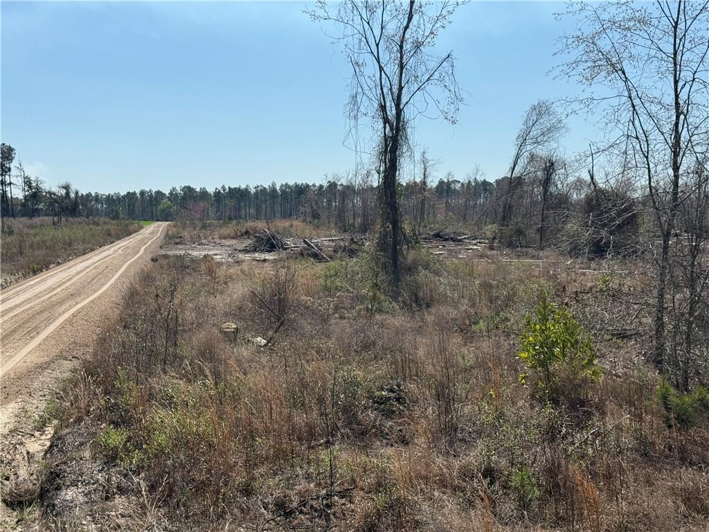 -35.01 Acres) Bacon School Road Alma, GA 31510 - Photo 9 of 19
