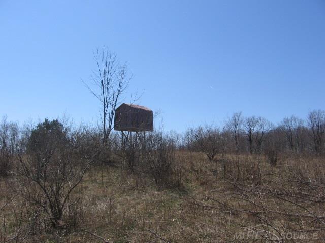 Vl Townsend Applegate, MI 48401 - Photo 9 of 31